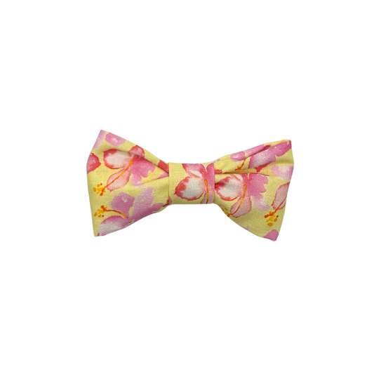 Floral patterned bow tie on a white background